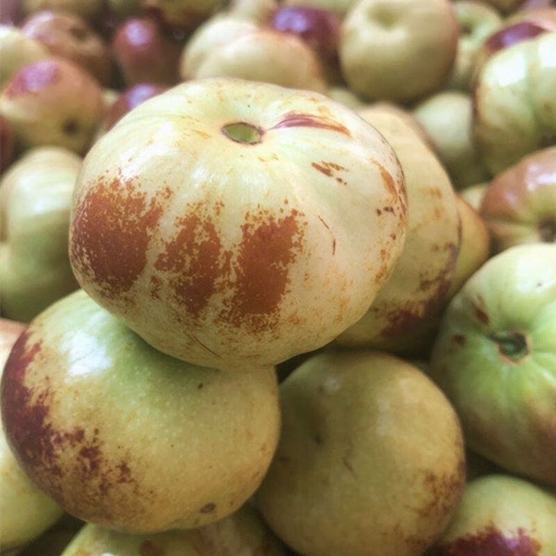 蟠枣新鲜脆甜沾化冬枣三代大果孕妇儿童老人水果精礼品 大果三斤