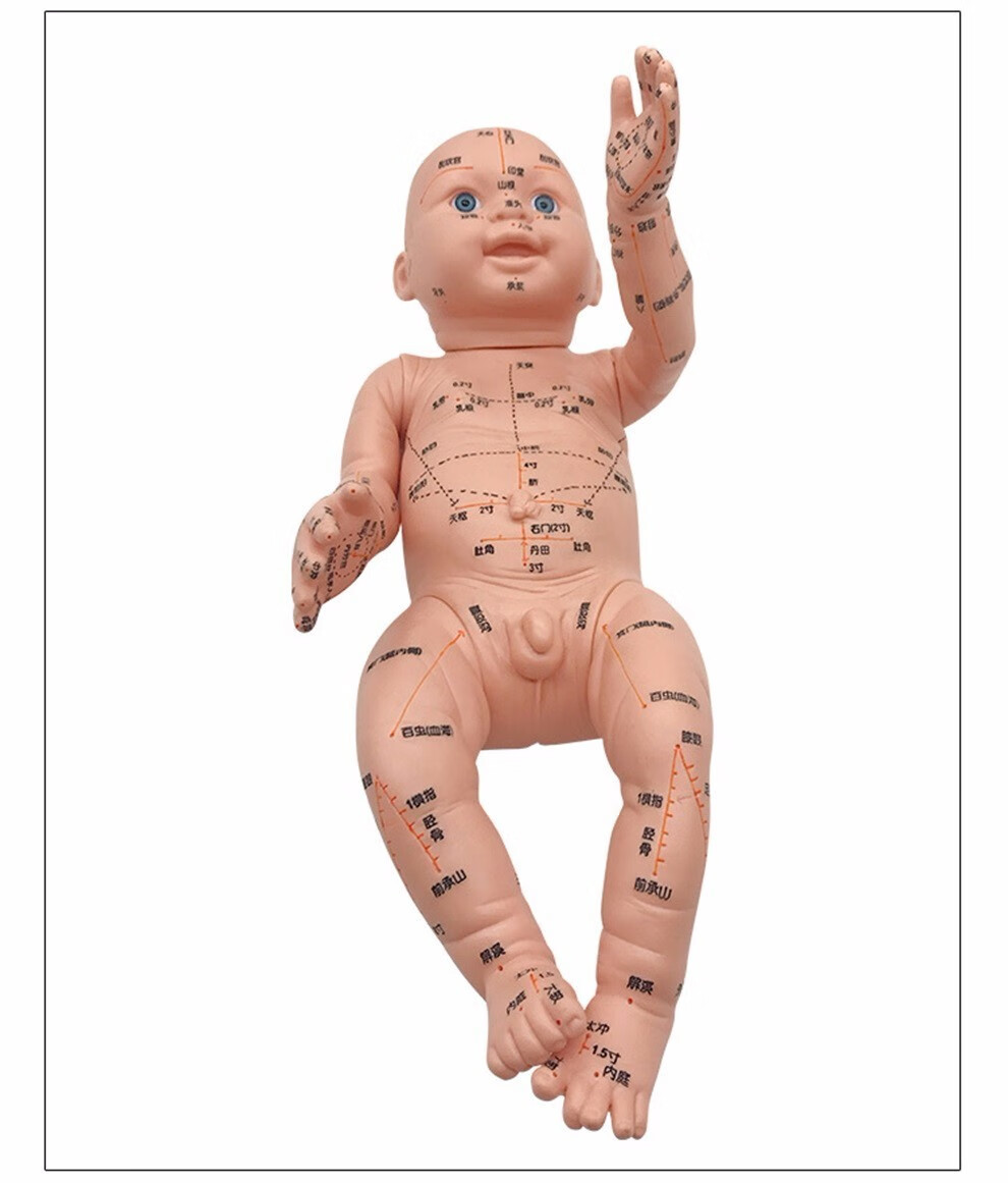 丰帆小儿按摩推拿穴位模型新款娃娃穴位模型中医按摩教学儿童人体模型