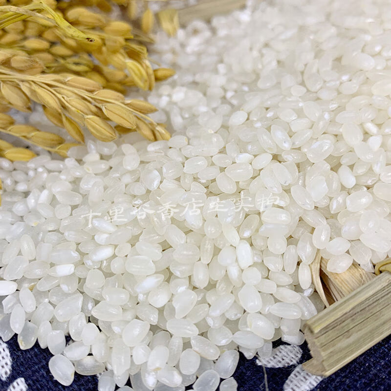 崇明大米20斤南梗46梗米5kg10kg鸭田生态香米宝宝老人专用农家软糯米