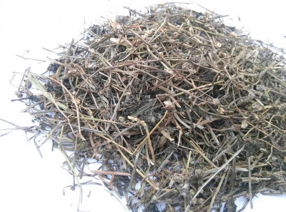 野生百花蛇舌草 草药 白花蛇舌草500g克中药材 蛇舌草茶 新鲜干货