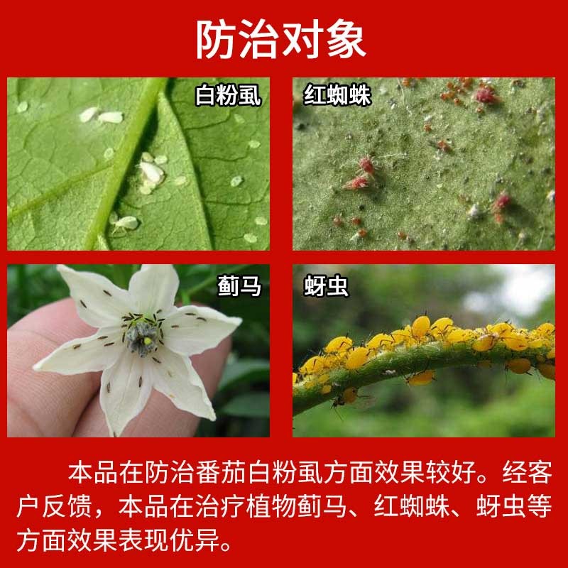 25联苯菊酯脂茶小绿叶蝉茶毛虫白粉虱红蜘蛛茶树茶叶专用农药杀虫剂2
