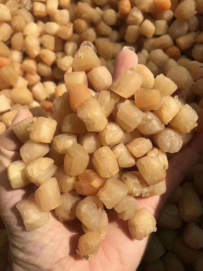 潮汕南澳特产海水新鲜中大干贝瑶柱干货营养食用农产品 500g【图片