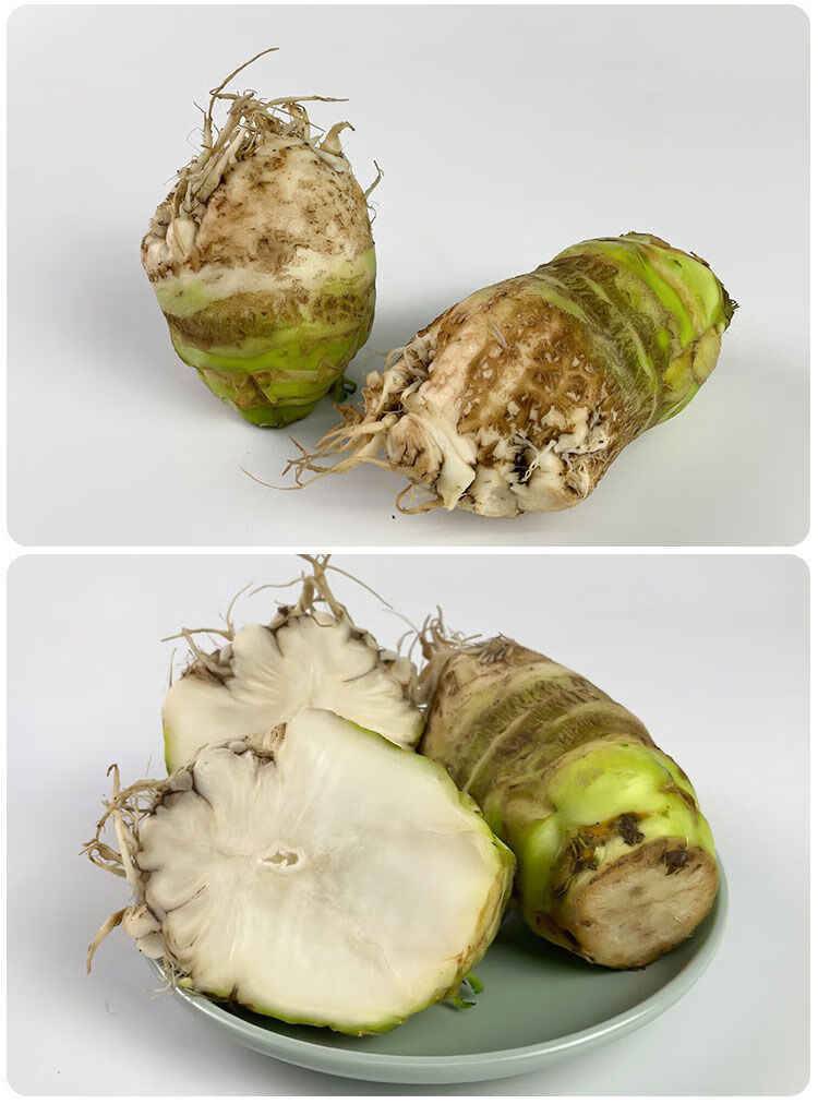 四川大头菜辣菜新鲜芥菜蔬菜下饭咸菜农家现挖大头疙瘩菜批发 新鲜