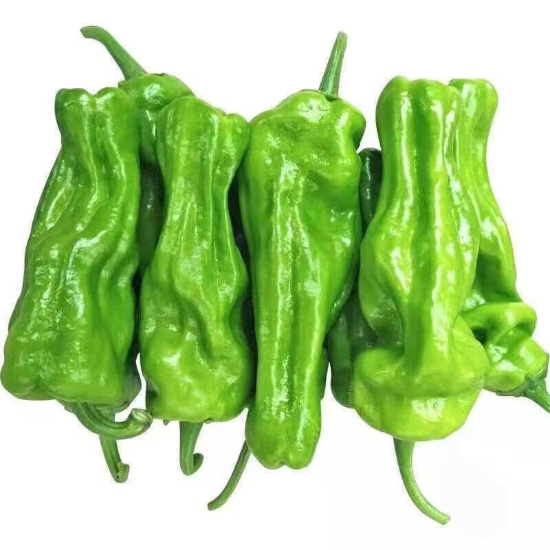 新鲜青辣椒中辣青椒菜椒牛角椒带箱5斤时令蔬菜半斤5斤装辣椒人工精选