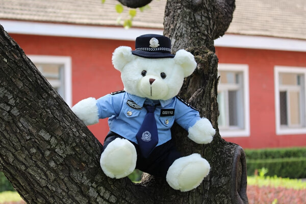 警察小熊police32cm 大号制服小熊衬衫泰迪毛绒玩具公仔结婚生日礼物