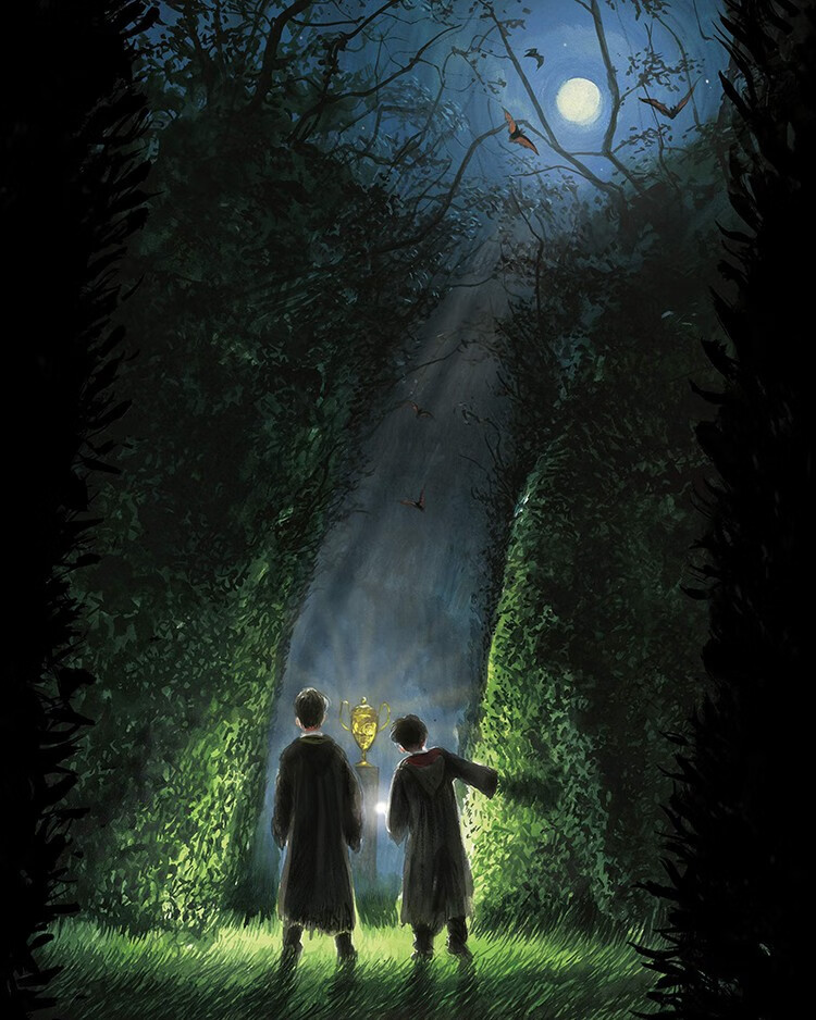 彩绘版第四部 4 哈利波特与火焰杯 精装彩绘插图版 英文原版 jk罗琳