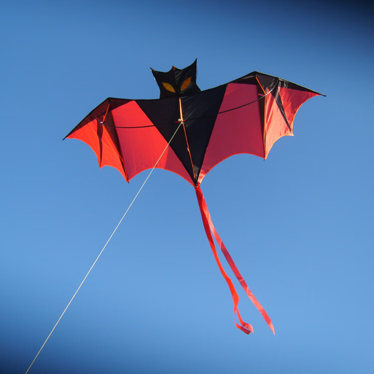 潍坊风筝春鸢新款大型成人儿童现代前撑杆蝙蝠风筝线轮微风易飞16米