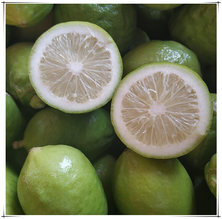 香水柠檬新鲜5斤装咖啡奶茶店柠檬膏专用水果无籽四季青柠檬 80-200g