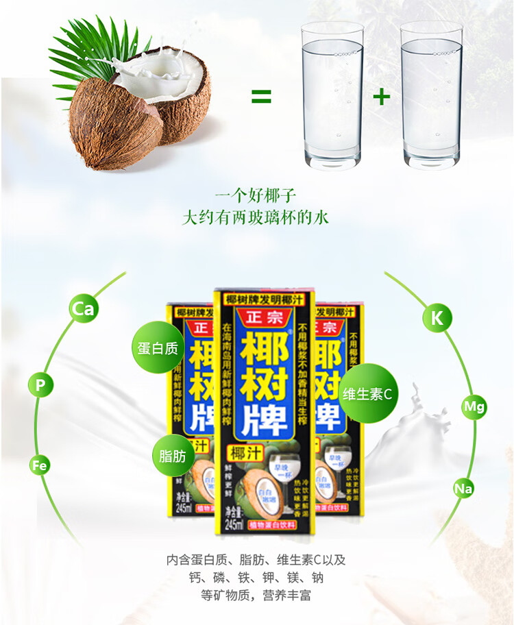 橙伯乐牌椰汁椰子汁新鲜纯嫩245ml椰浆生榨椰奶整箱饮料椰罐装245ml