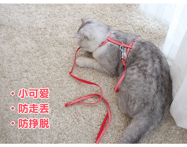 喜乐萌宠 狗狗幼猫咪幼犬牵引绳套脖铃铛牵引绳小型玩具茶杯犬迷你