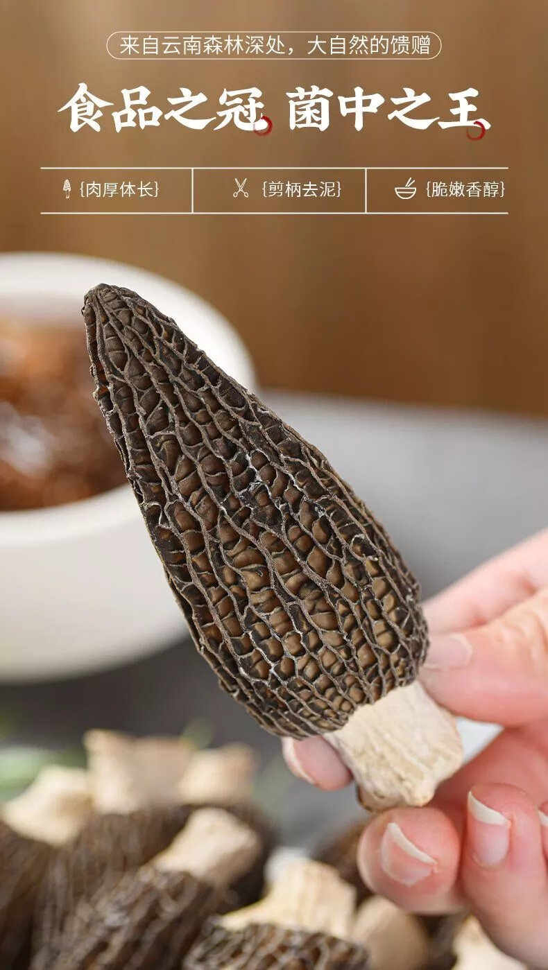 云南羊肚菌干货精选煲汤料新鲜羊肚菇特产菌菇华海春 精选款【大个头9
