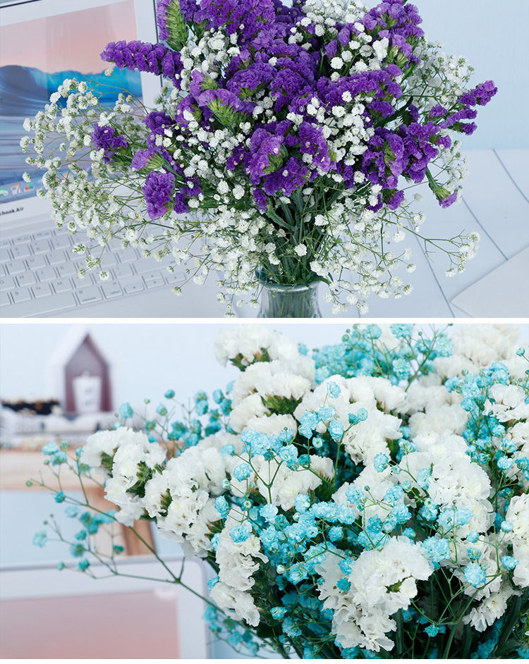 装饰摆件勿忘我风干真花客厅家居小清新摆设紫粉白满天星带b款花瓶s