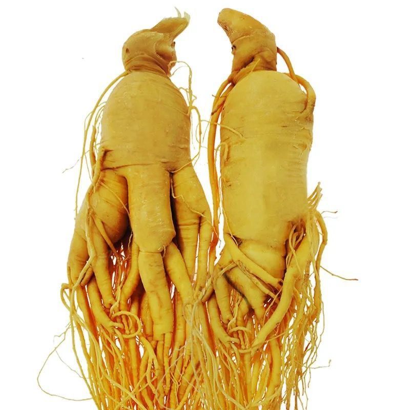 【正宗】长白山人参特大人参保鲜参长白山新鲜人参山参送药材泡酒