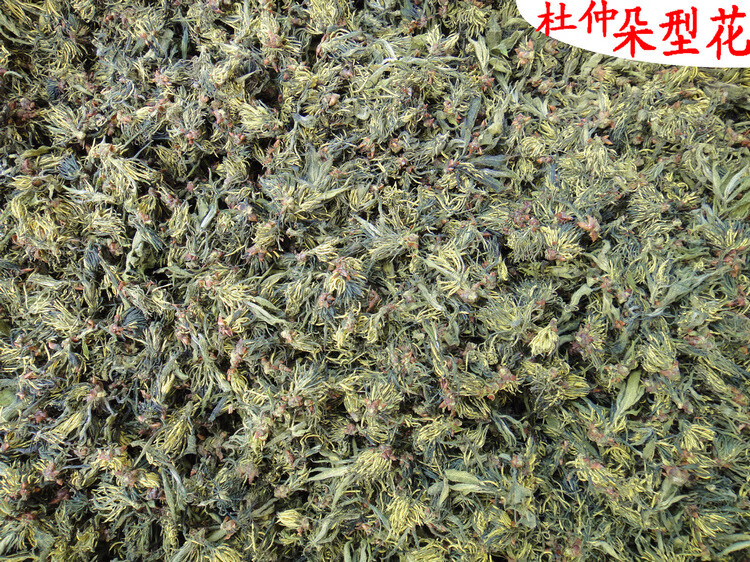 杜仲雄花茶250克很細嫩整朵花杜仲雄花非杜仲嫩葉茶