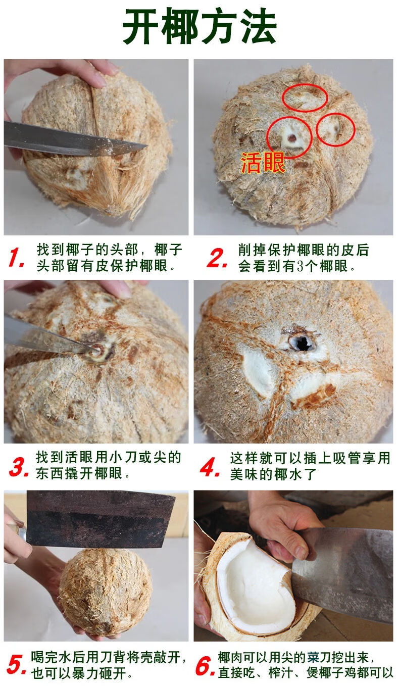 素界海南特产老椰子新鲜去皮毛椰子椰青热带水果孕妇水果优先发货3个