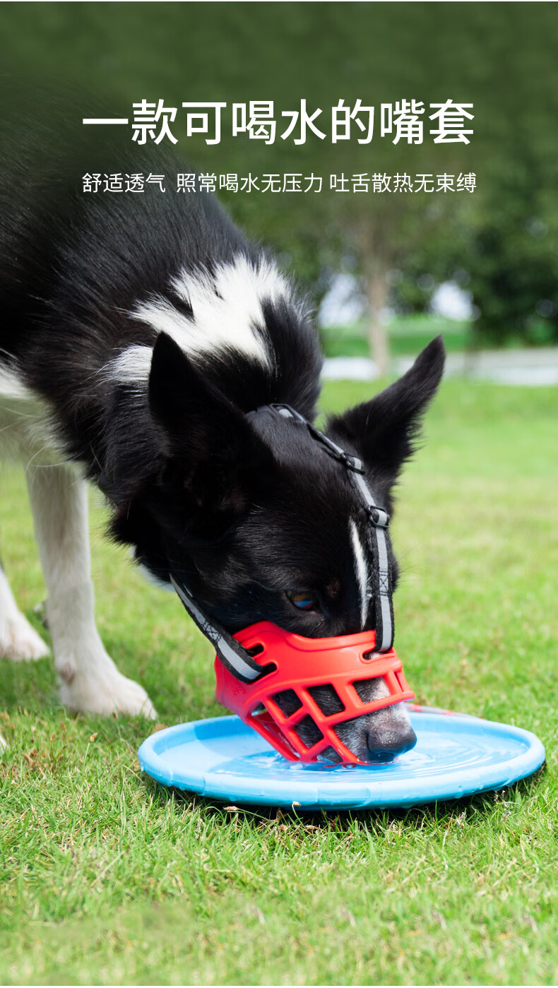 狗狗嘴套防咬狗狗防乱吃叫口罩神器大型犬狗嘴罩嘴巴套小型犬止咬器3