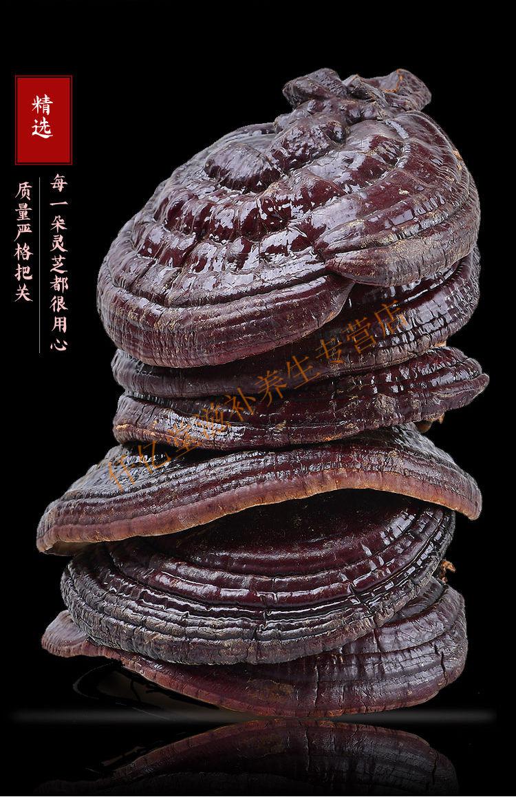 灵芝长白山紫灵芝林芝灵芝灵芝片泡酒料泡水东北紫灵芝一朵40克60克