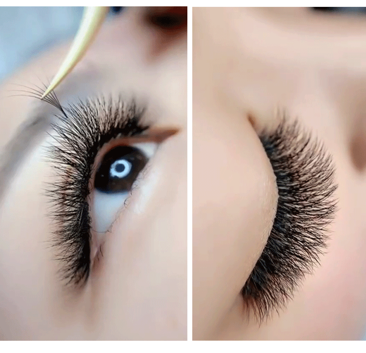 网红款睫毛嫁接山茶花美睫一秒自动开花种假睫真自然浓密水貂毛超软