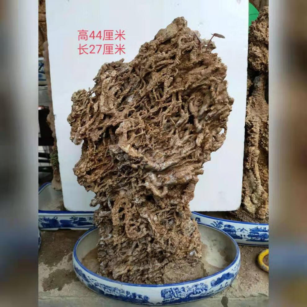 天然芦管石钟乳石吸水石原石上水石假山盆景摆件植物化石鱼缸造景110