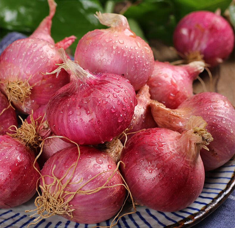 净樱 东北毛葱头特产新鲜种籽栽子5斤生吃鬼干小洋葱头迷你圆红葱头
