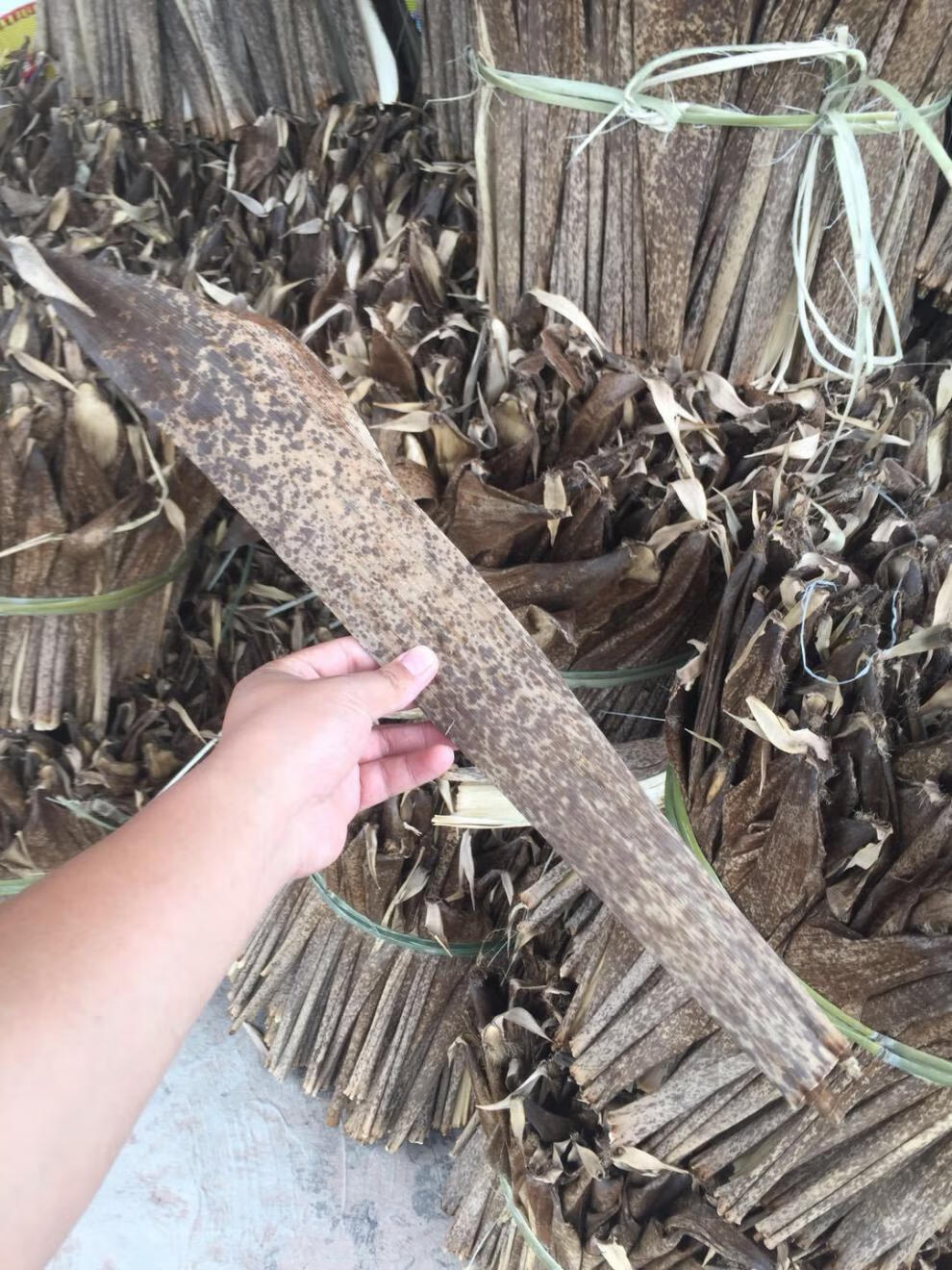 竹笋叶壳新货四川宜宾毛竹壳粽子叶豹纹楠竹笋叶端午包粽子笋壳黄粑壳