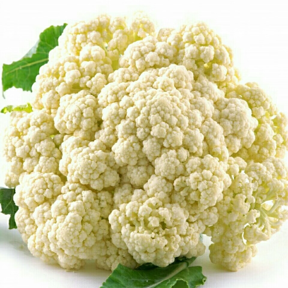 花菜种子有机花菜种子花椰菜高产耐热抗寒春夏秋三季蔬菜种孑 松花