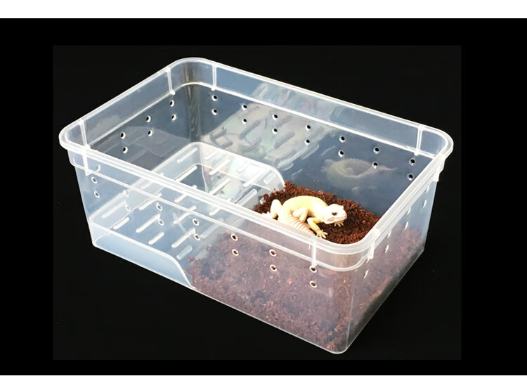 爬宠饲养盒两栖箱小乌龟缸守宫角蛙盒带晒台塑料乌龟盒角蛙饲养箱中号
