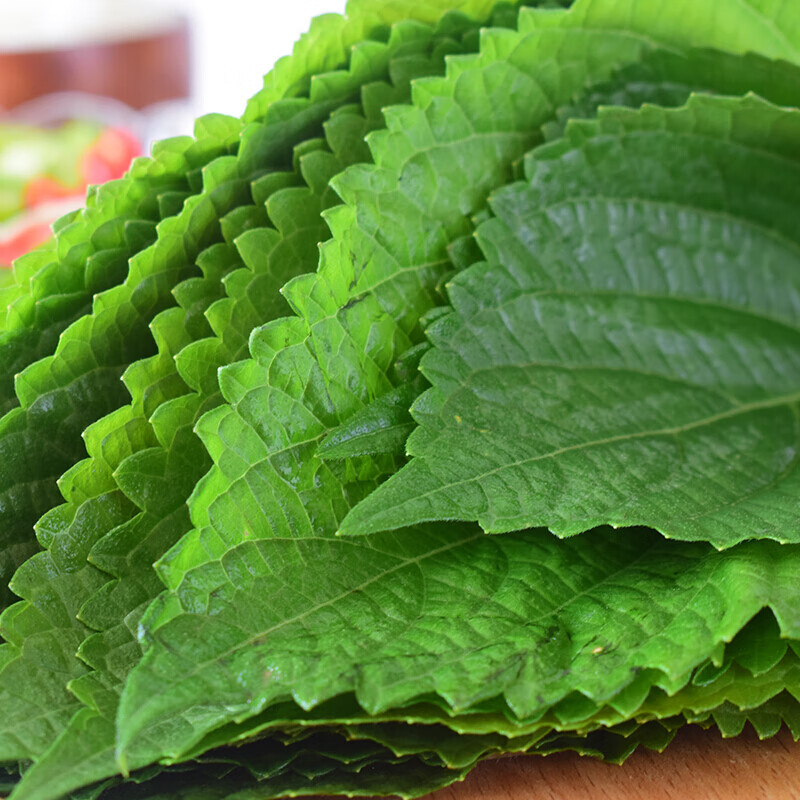 苏子叶新鲜食用包饭鲜韩国烤肉紫苏叶500g青菜紫苏新鲜蔬菜100g