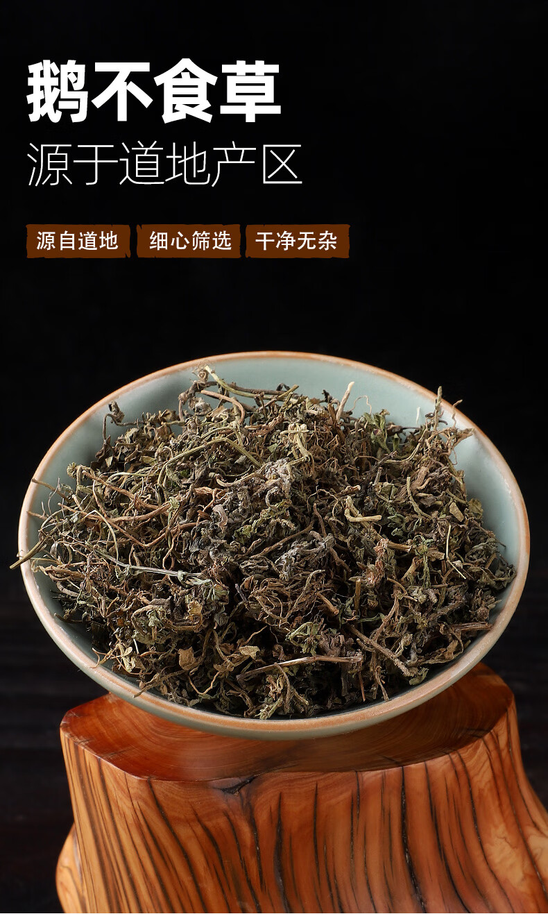 伟博 取鹅不食草10克粉中药鹅不识草新鲜鹅不食草干中药材店铺【图片