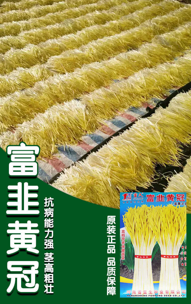 博卉富韭黄种子韭菜籽四季农家宽叶大叶窄叶韭黄菜种籽耐热耐寒高产富