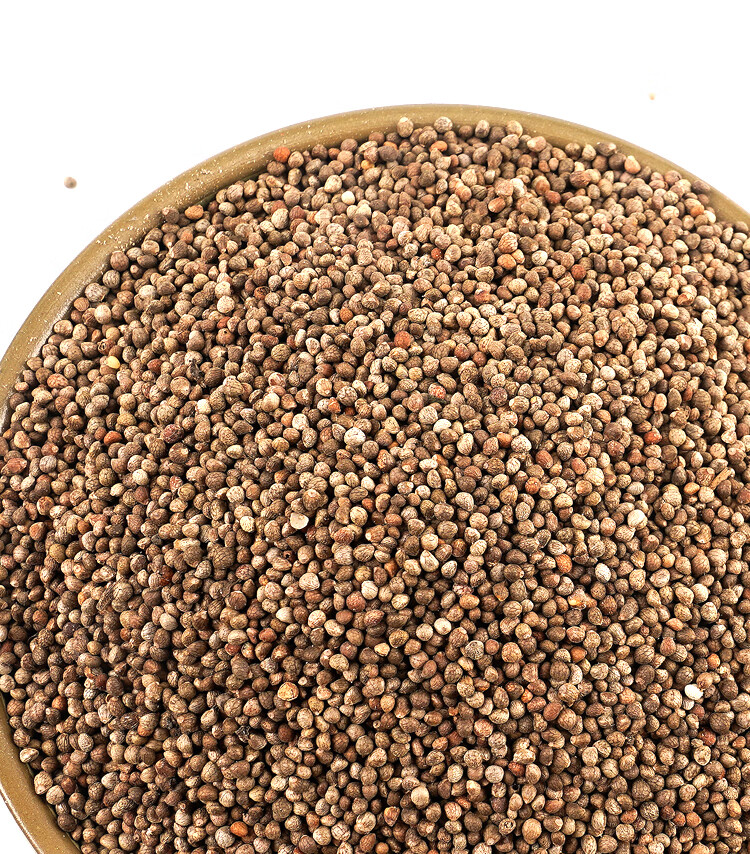 当季2斤苏麻仔 贵州特产农家自种生酥麻籽引子油性黑酥麻【图片 价格