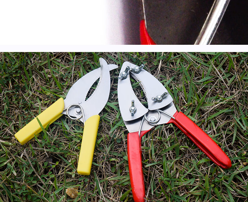 泰西丝葡萄枣树环割刀果树环割剪器剥皮剪单刃环割刀带锯齿