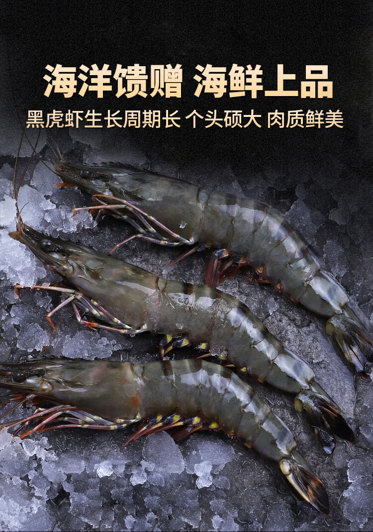 冠季黑虎虾鲜活超大海捕青岛野生新鲜老虎虾大虾草虾海虾冷冻海鲜水产
