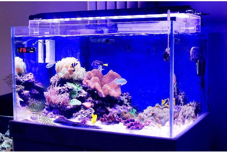 鱼缸背景纸双面蓝色玻璃贴膜透光不透明加厚防水防刮耐磨底部贴纸蓝色