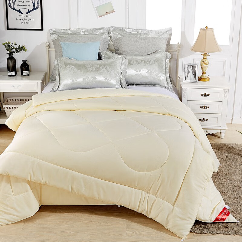 诚德轩双胞胎二合一被子子母被加厚棉被冬被保暖被芯空调被10斤秋四季