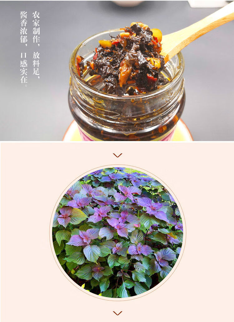 晨臻 紫苏调料酱料 湖北特产三毛姐紫苏酱拌饭拌面鱼虾原辣味酱香辣