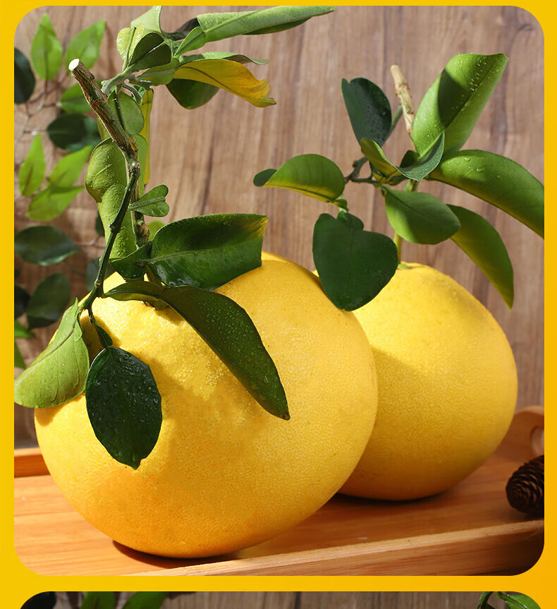 文旦柚 正宗台州玉环大文旦柚子台州楚门当季新鲜孕妇水果白心蜜柚现