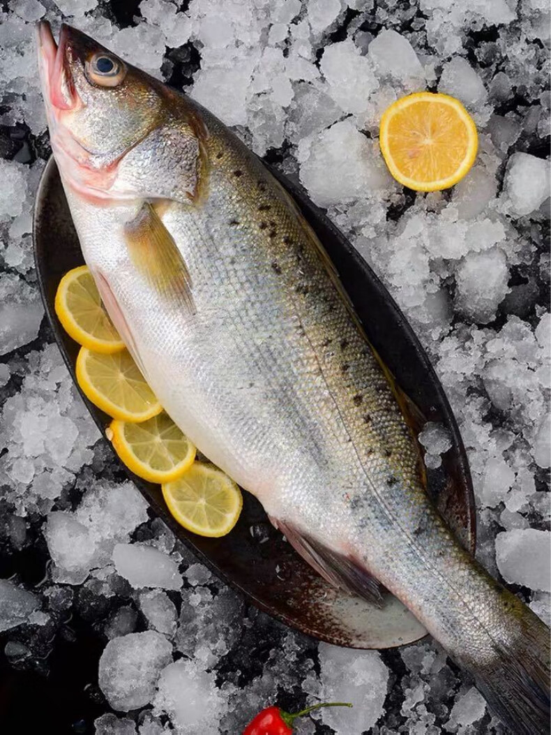 悦芳华旗舰店大海鲈鱼3斤以上条海鱼深海七星海鲈鱼海鲜水产顺丰