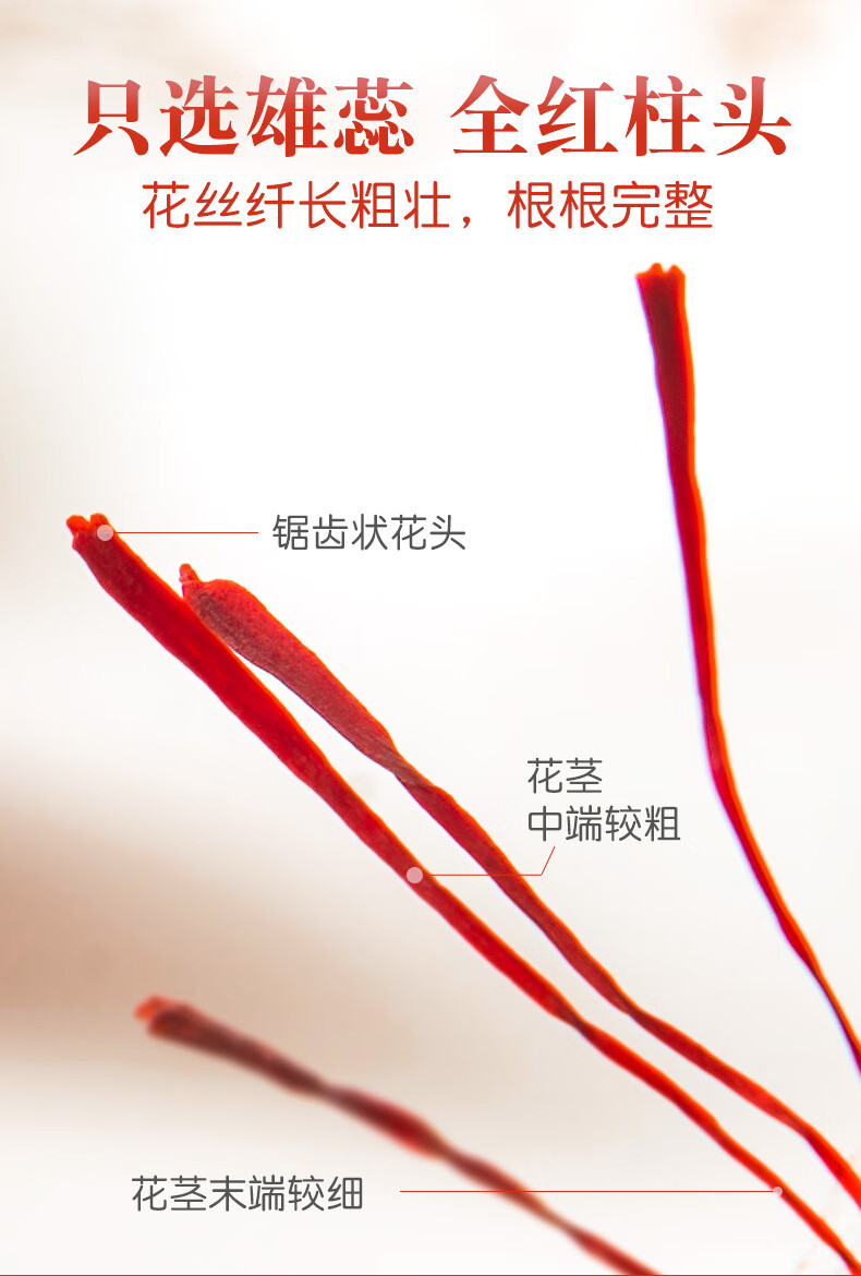 1b2d1dd19cdbe30e.jpg