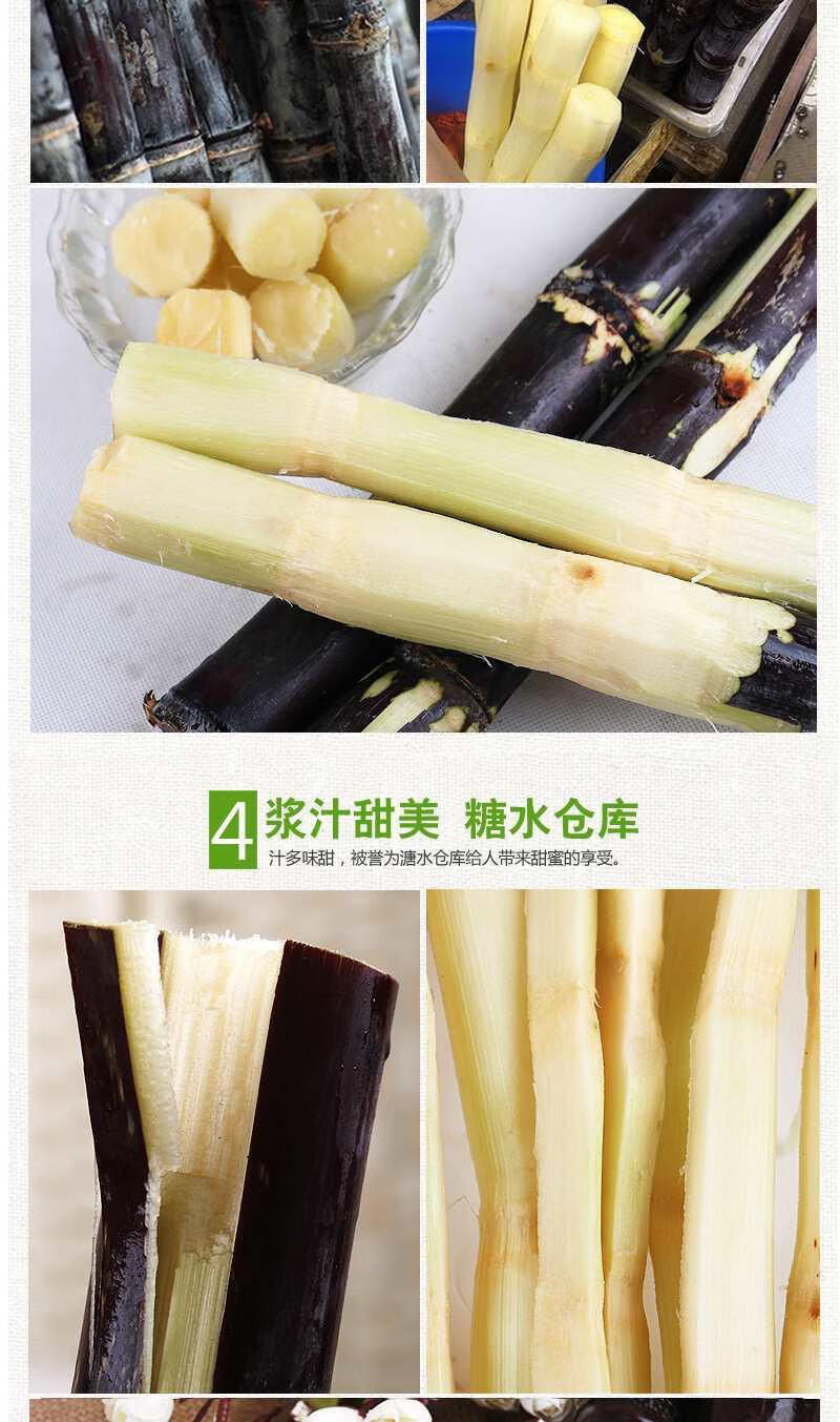 晨臻黑皮甘蔗新鲜孕妇当季水果清甜多汁糖果杆蔗整箱批发特产5斤带刀