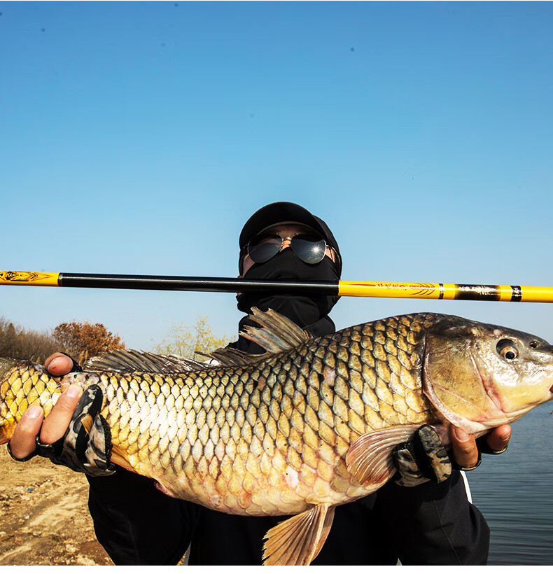 化氏青鲟巨物大物竿鱼竿手杆超轻超硬台钓竿轻量鲢鳙12h19调汉鼎达