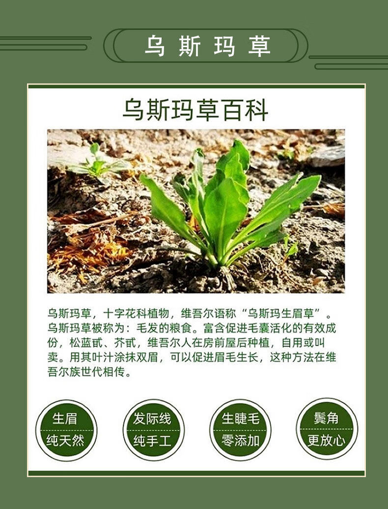乌斯玛草棒乌斯曼眉笔长眉长发际线秃头长睫毛新疆乌斯曼生眉 袋装六