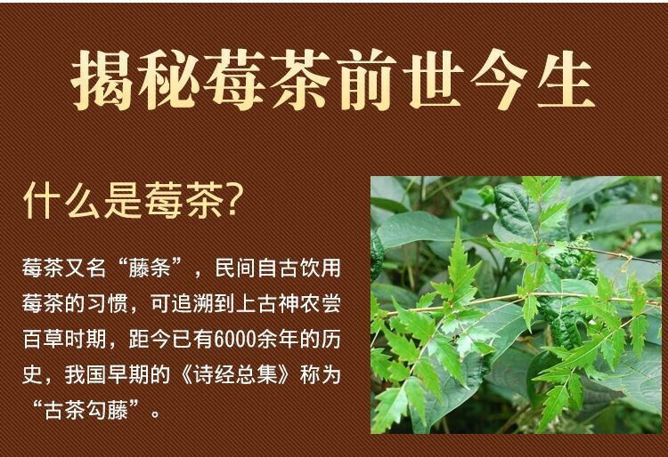 高山野生新货莓茶500克藤茶溪黄茶叶苦雪茶白茶灰茶嫩梗莓茶1000克二