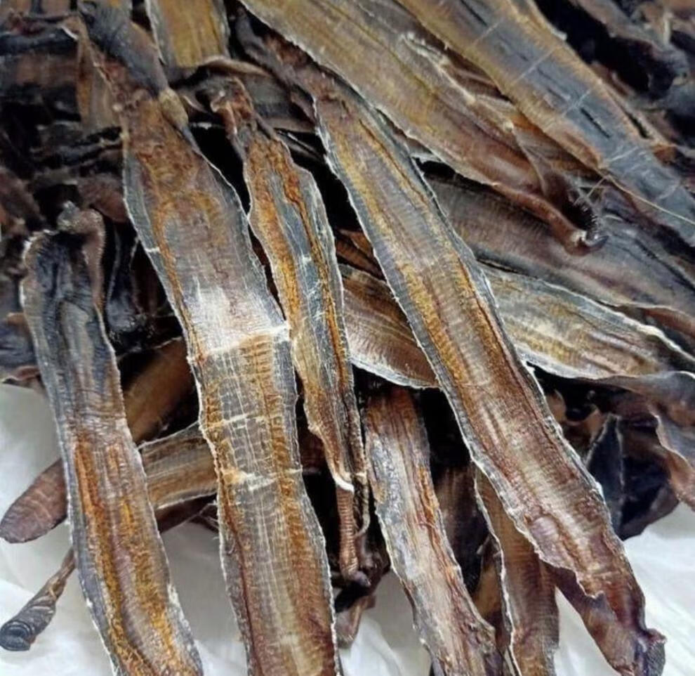 中药材地龙广西全开无泥沙蚯蚓干整条地龙段广地龙100g 全开率95%0