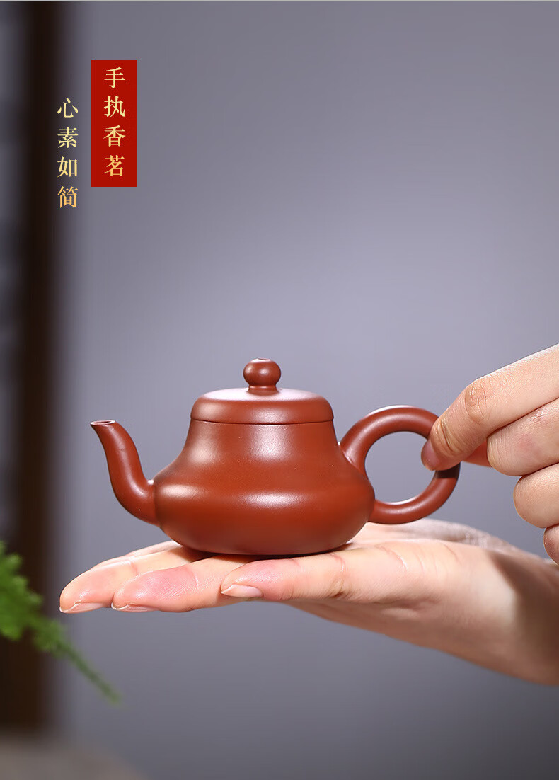 官方旗舰新品宜兴正宗紫砂壶茶具倪新安大师作品纯手工壶小品壶大红袍