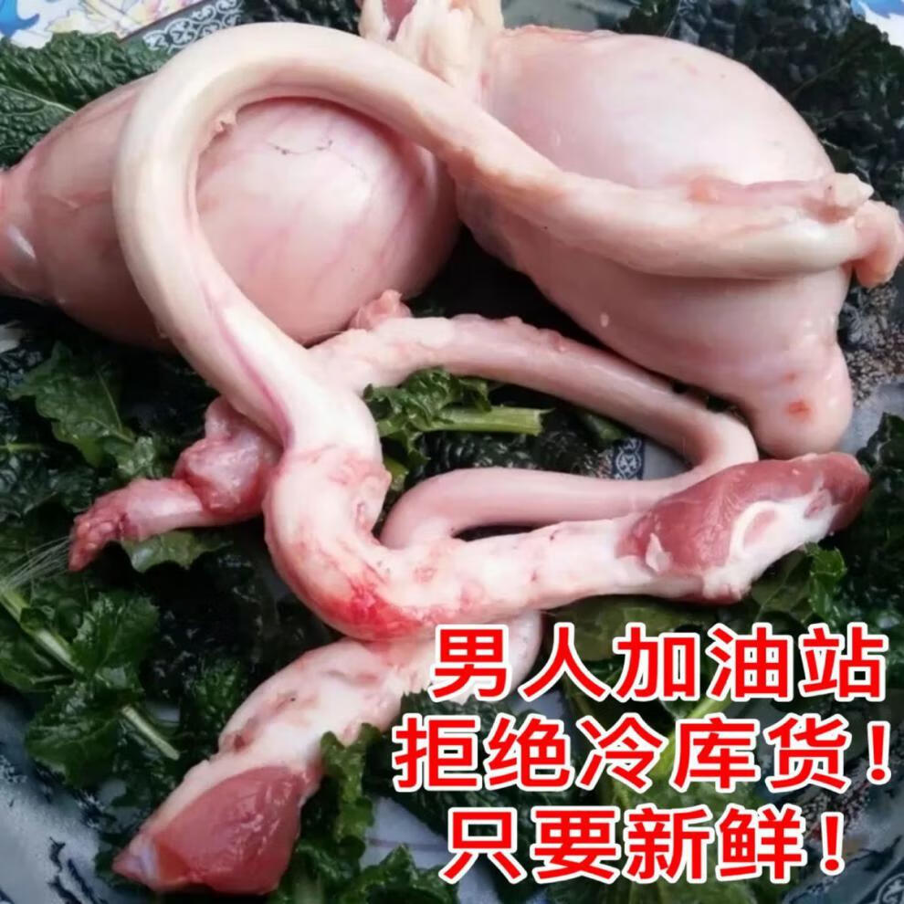 羊鞭批发新鲜现取山羊鞭速冻保鲜羊蛋羊睾丸羊宝羊肉展志曼智广纳力驰