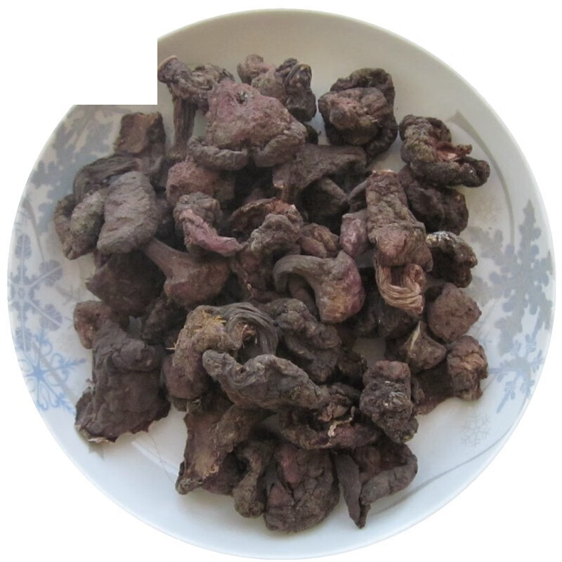 250g内蒙古阿拉善贺兰山紫蘑菇蘑菇贺蘑
