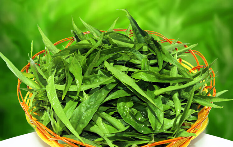 忧遁草 海南五指山 原产地鲜叶优盾 黎王草新鲜叶子 三亨堂小尖叶 多