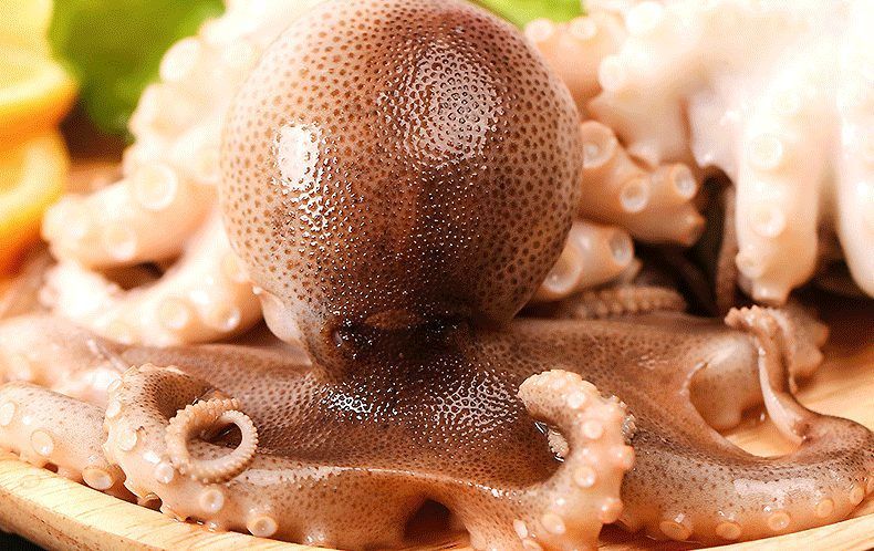 冰鲜迷你八爪鱼4斤海鲜水产深海捕捞火锅食材爆头短腿海捕章鱼青封铭