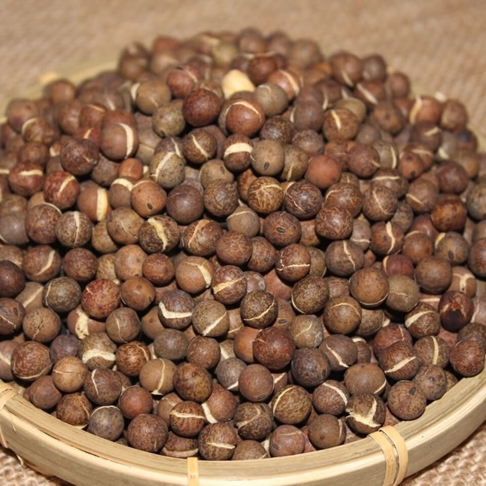 一件甘肃特产干炒麻豆子兰州炒熟灰豆麻豌豆熬粥灰豆麻豆 5斤 干炒麻